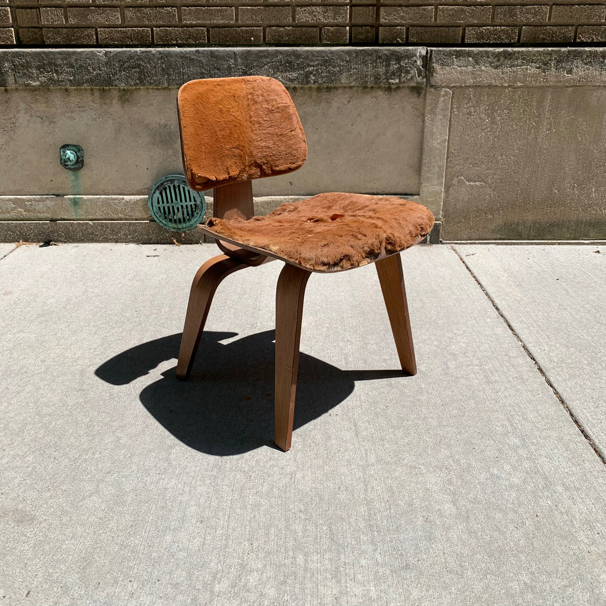 Dcw chair discount