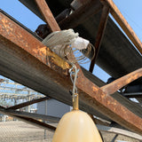 Large Vistosi Italian Glass Pendant Lamp