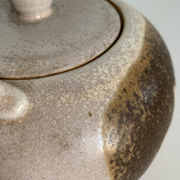 Stoneware Tea Pot